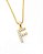 Pingente Cravejado Letra F (10X9CM) Banhado A Ouro 18k PIN064 - Imagem 2