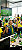 Lenço verde e amarelo Brasil - Imagem 8