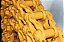 CORRENTE KOMATSU D61 - ITM - 134-32-00020 - Imagem 2