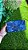 Carteira Astral Dotted Macaws - Imagem 1