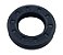 RETENTOR  BOMBA DELPHI 7174-127A - Imagem 3