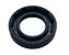 RETENTOR  BOMBA DELPHI 7174-127A - Imagem 4