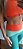 Conjunto Canelado Compressão Tricolor - Imagem 2