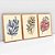 Jogo 3 Quadros Decorativos Com Moldura Folhagem Diferentes Cores - Imagem 4