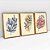 Jogo 3 Quadros Decorativos Com Moldura Folhagem Diferentes Cores - Imagem 7
