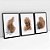 Jogo De 3 Quadros Decorativos Com Moldura Folhas - Imagem 3