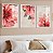 Kit De Quadros Com Moldura Flores Rosa - Imagem 1