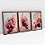 Kit 3 Quadros Com Moldura Arte flores De Organza - Imagem 4