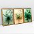 Kit 3 Quadros Com Moldura Fluidez Das Flores - Imagem 6