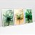 Kit 3 Quadros Com Moldura Fluidez Das Flores - Imagem 3