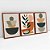 Kit 3 Quadros Decorativos Com Moldura Arte Boho Magic Organinc - Imagem 4