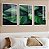 Kit 3 Quadros Com Moldura Verde Folhagem - Imagem 1