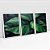 Kit 3 Quadros Com Moldura Verde Folhagem - Imagem 5