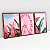 Kit 3 Quadros Com Moldura Arte Love Pink - Imagem 5