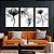 Kit 3 Quadros Decorativos Com Moldura Flores Fluidas P&B - Imagem 1