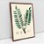 Quadro Decorativo Boswellia Serrata Arte Botânico - Imagem 4