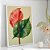 Quadro Decorativo Flora Tropical - Imagem 1