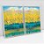 Kit 2 Quadros Decorativos Rabiscos De Primavera - Imagem 2