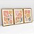 Kit 3 Quadros Decorativos Nature Tropical - Imagem 6