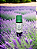 Óleo essencial de Lavanda 10ml - Imagem 1
