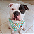 Bandana Pet Cacto - Imagem 1