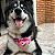 Bandana Pet Cupcake - Imagem 2