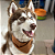 Bandana Pet Marrom - Imagem 1