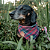 Bandana xadrez vermelha Pet - Imagem 6