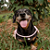 Colar Pet Paracord Rosa - Imagem 3