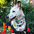 Bandana Pet Dinossauro - Imagem 4