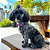 Colar Pet Pérolas Rosas Ajustável - Imagem 3