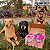 Caopanhias Box Pet - Imagem 5