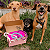 Caopanhias Box Pet - Imagem 7