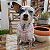 Colar Pet Paracord rosa - Imagem 1