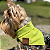 Bandana Pet Atacado - Varias Cores - Imagem 5