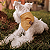 Bandana Pet Atacado - Varias Cores - Imagem 3