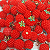 Berloque vermelho para colar - Imagem 1