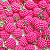 Berloque fruta  para colar - Imagem 1