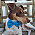 Gravata Pet Azul - Imagem 3