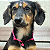 Colar Pet Paracord Rosa Escuro com berloque surpresa - Imagem 1