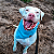 Bandana Pet Azul - Imagem 1
