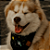 Bandana Pet Galaxia - Imagem 4