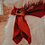 Lenço pet Vermelho - Imagem 1