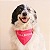 Bandana Rosa COM LOGO Instagram pet - Imagem 1