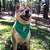 Bandana Palmeiras - Imagem 2