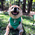 Bandana Palmeiras - Imagem 3