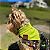 Bandana Pet Verde Limão - Imagem 1
