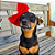 Lacinho Pet Vermelho - Imagem 4