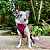 Bandana Pet Fucsia - Imagem 2