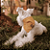 Bandana Pet Dourada - Imagem 1